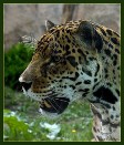 Фотография anatoliy