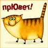 Фотография gray50